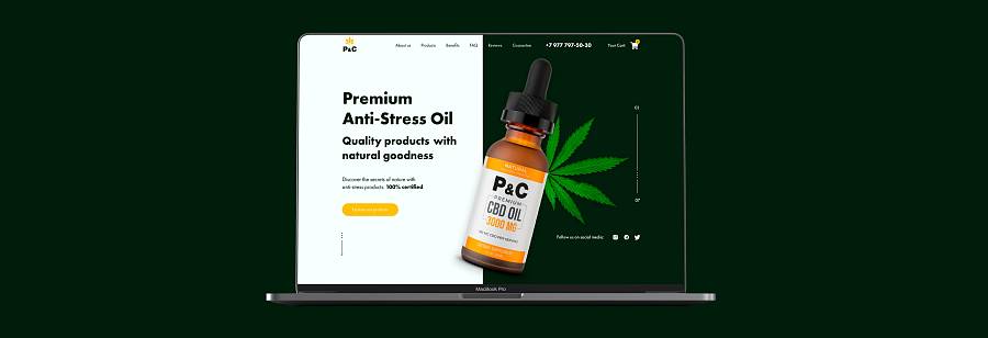 E-commerce website – P&C